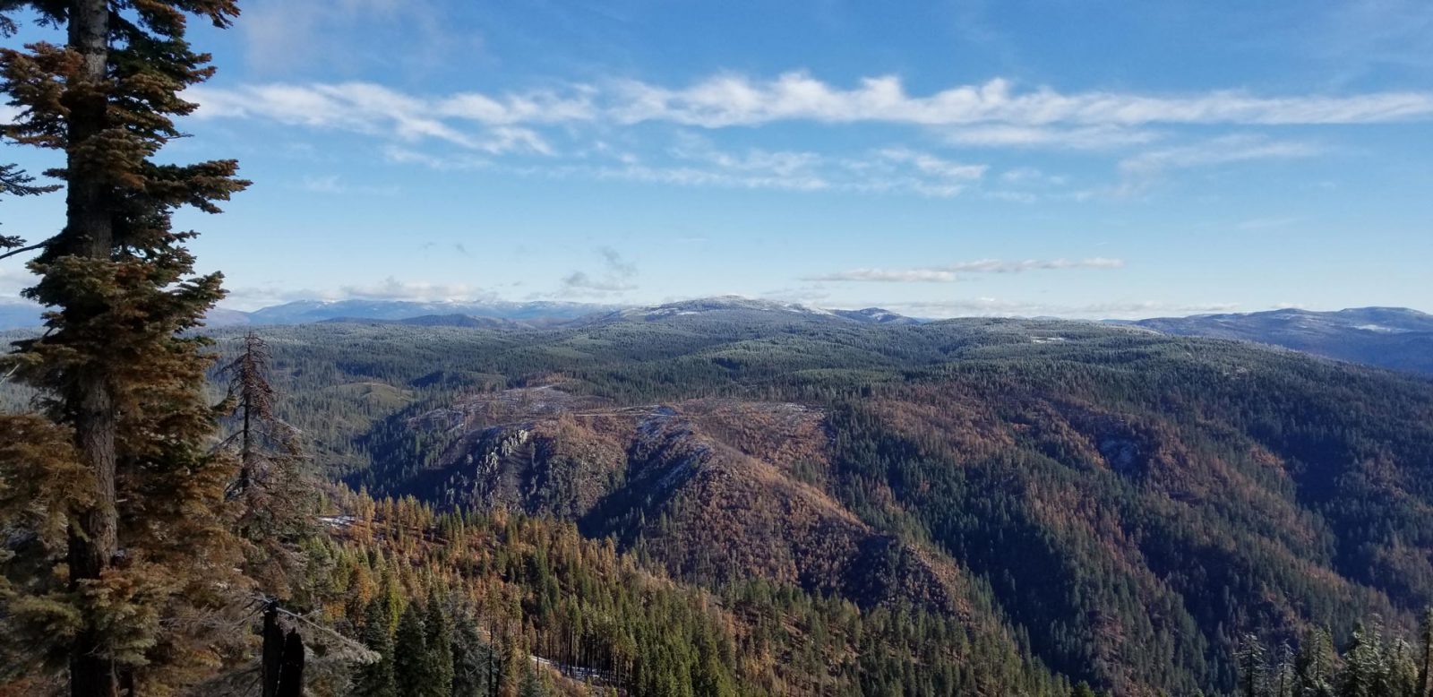 Bear Creek from Lookout Rock